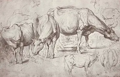 Cows Peter Paul Rubens